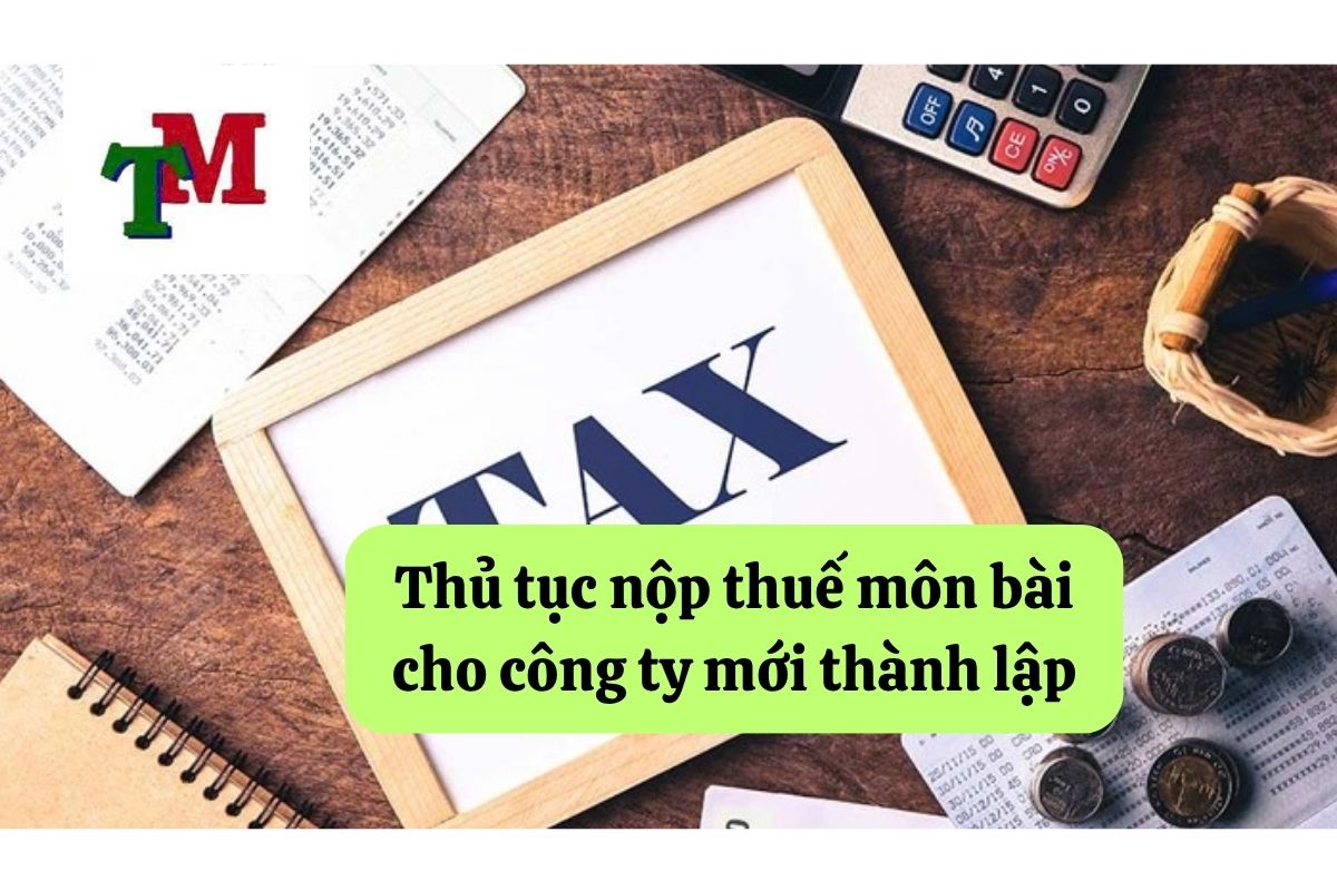 14. cty moi thanh lap co nop thue mon bai khong 3