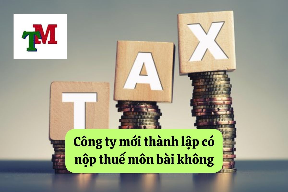 14. cty moi thanh lap co nop thue mon bai khong