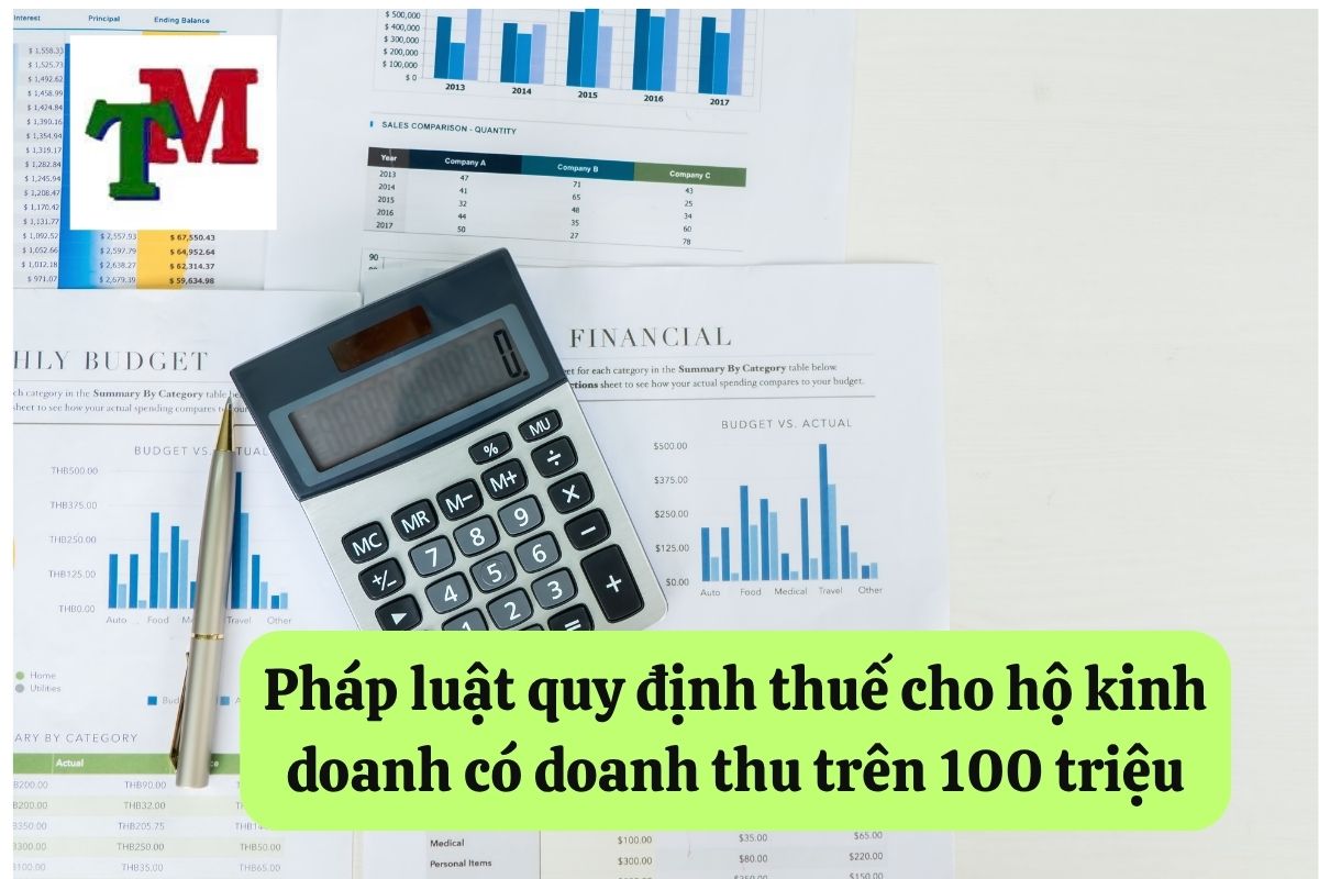 14. ho kinh doanh co doanh thu tren 100 trieu 3