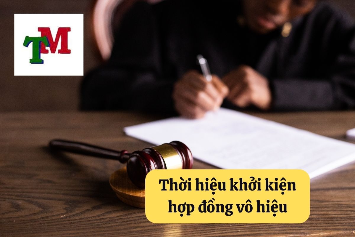 14. thoi hieu khoi kien hop dong 2