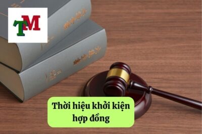 14. thoi hieu khoi kien hop dong