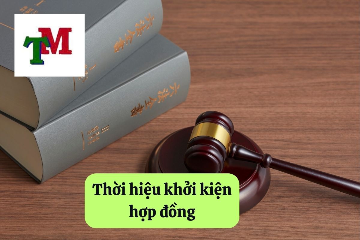 14. thoi hieu khoi kien hop dong