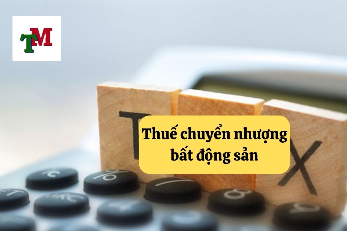 Hướng Dẫn Về Thuế Chuyển Nhượng Bất Động Sản Tại Việt Nam 1 14. thue chuyen nhuong bat dong san