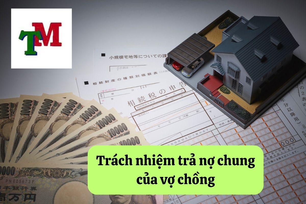 Hiểu biết trách nhiệm trả nợ trong các quan hệ pháp lý và quyền lợi của bạn 3 14. trach nhiem tra no 3
