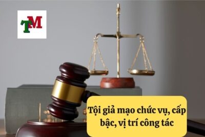 15. Toi gia mao chuc vu cap bac vi tri cong tac