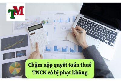 Chậm nộp quyết toán thuế TNCN có bị phạt không: Quy định và hướng dẫn khắc phục 41 15. cham nop quyet toan thue tncn co bi phat khong