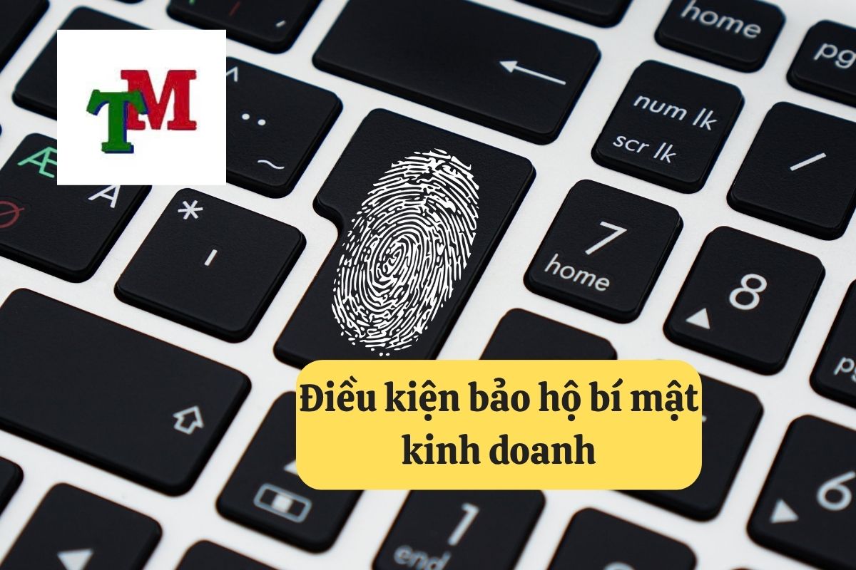 Điều kiện bảo hộ bí mật kinh doanh: Hướng dẫn chi tiết tại Luật Thiên Mã 1 15. dieu kien bao ho bi mat kinh doanh
