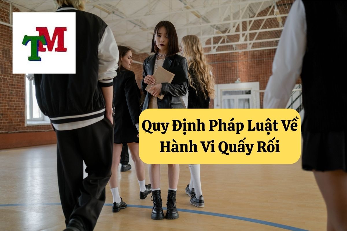 Quấy Rối Người Khác: 4 Định Pháp Luật và 3 Hình Phạt Phải Biết 2 Quy Định Pháp Luật Về Hành Vi Quấy Rối