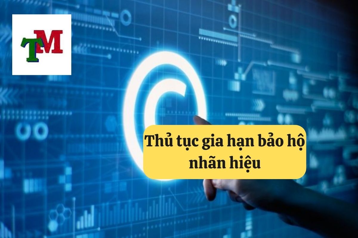 15. thoi gian bao ho nhan hieu 2