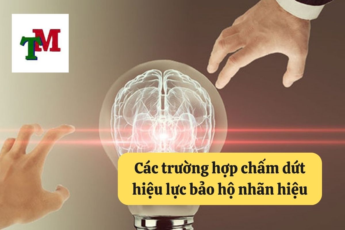 15. thoi gian bao ho nhan hieu 3