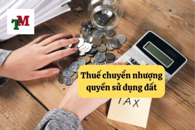 15. thue chuyen nhuong quyen su dung dat