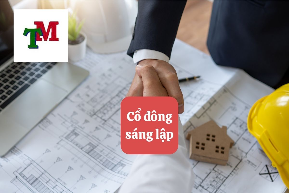 Cổ đông sáng lập: Quyền lợi, nghĩa vụ và hạn chế theo luật doanh nghiệp 1 16. co dong sang lap