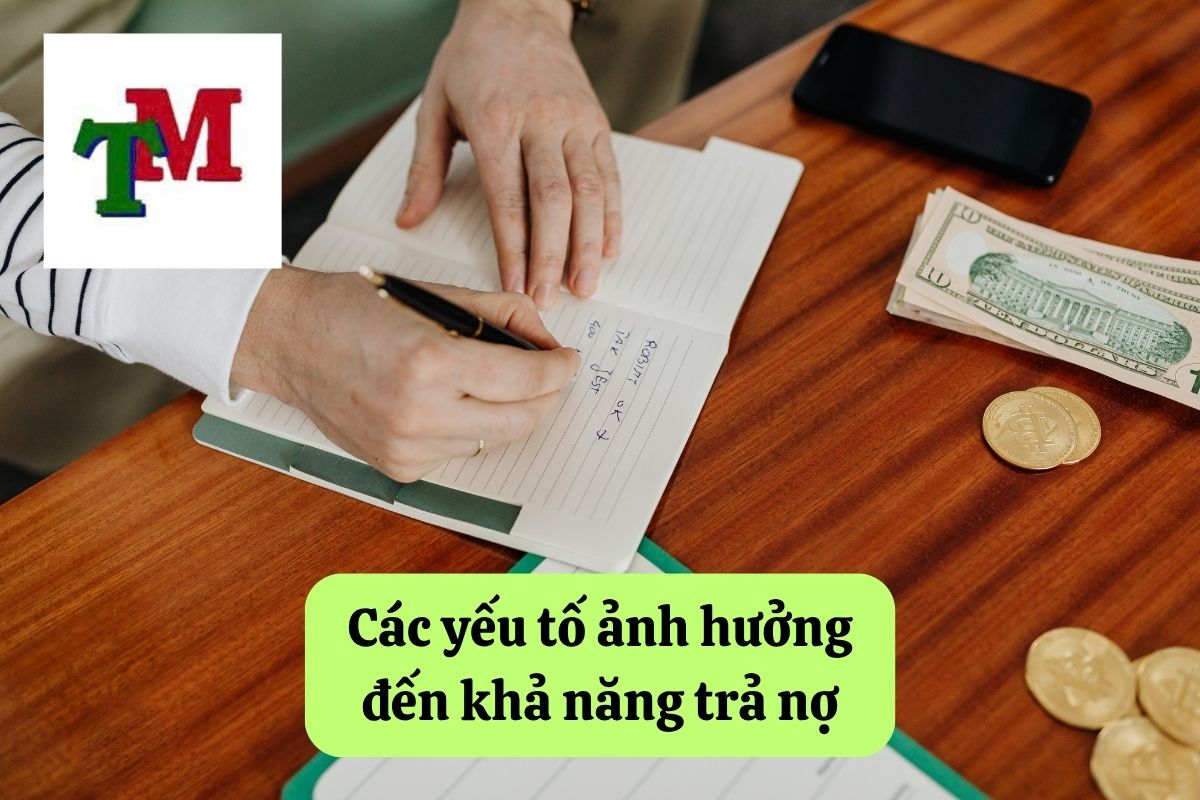 16. kha nang tra no 2