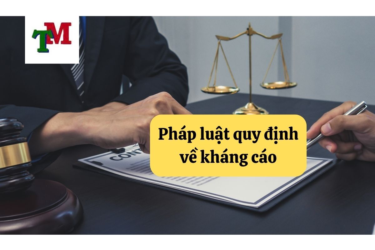 Kháng cáo – 6 lưu ý và quy định pháp luật cần biết 3 16. khang cao 3