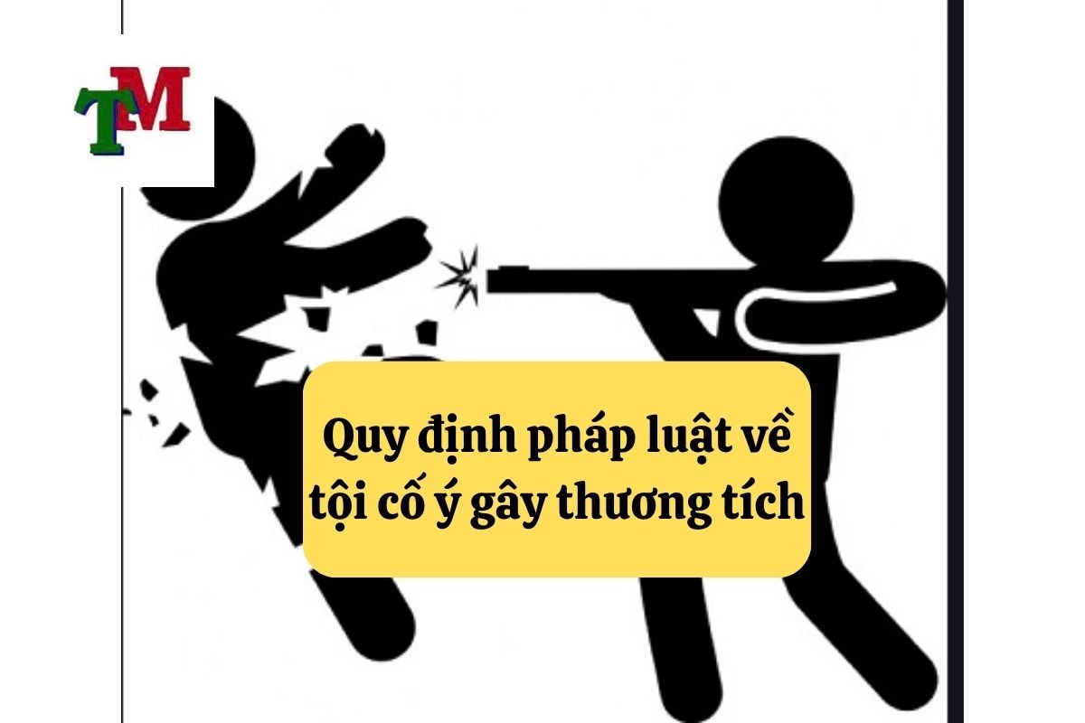 16. toi co y gay thuong tich 2