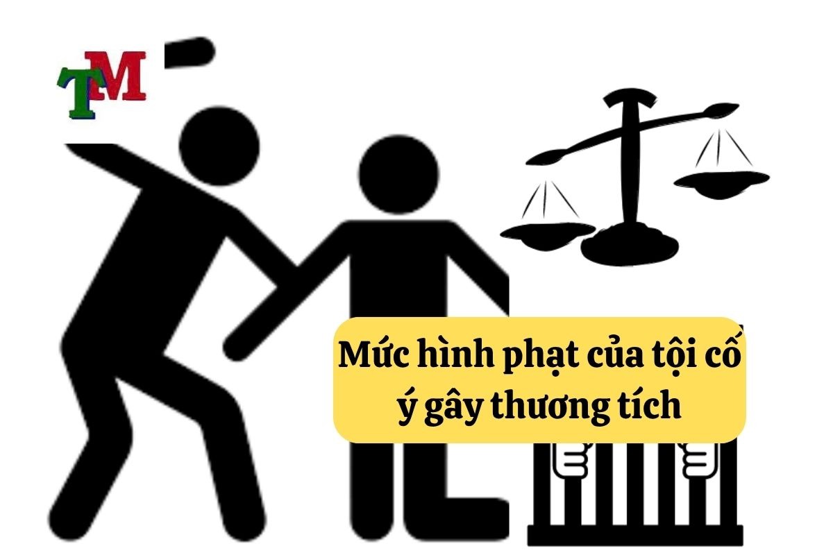 16. toi co y gay thuong tich 3