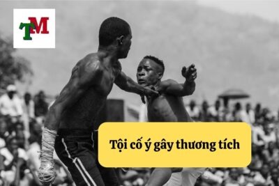 16. toi co y gay thuong tich