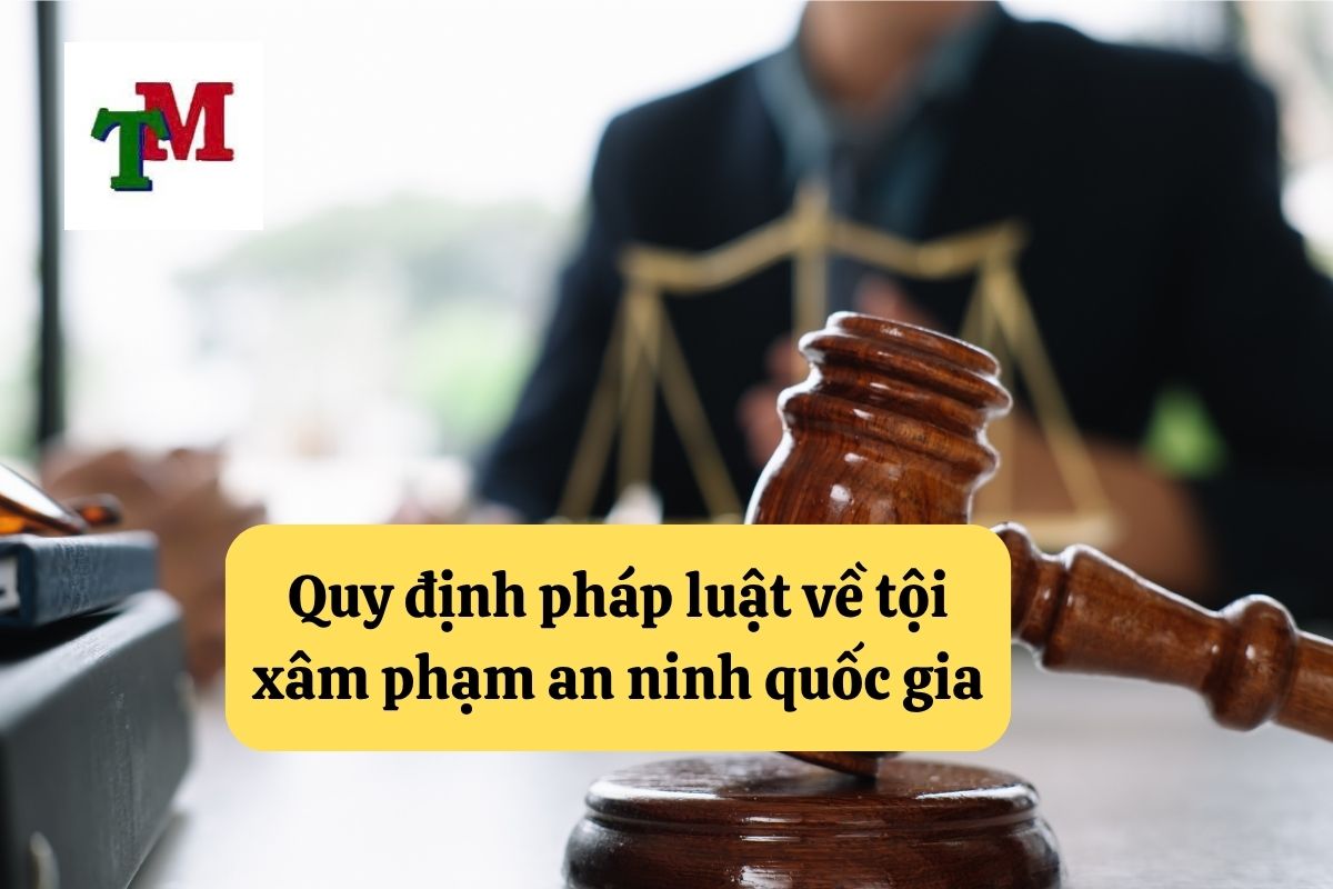 17. Toi xam pham an ninh quoc gia 2