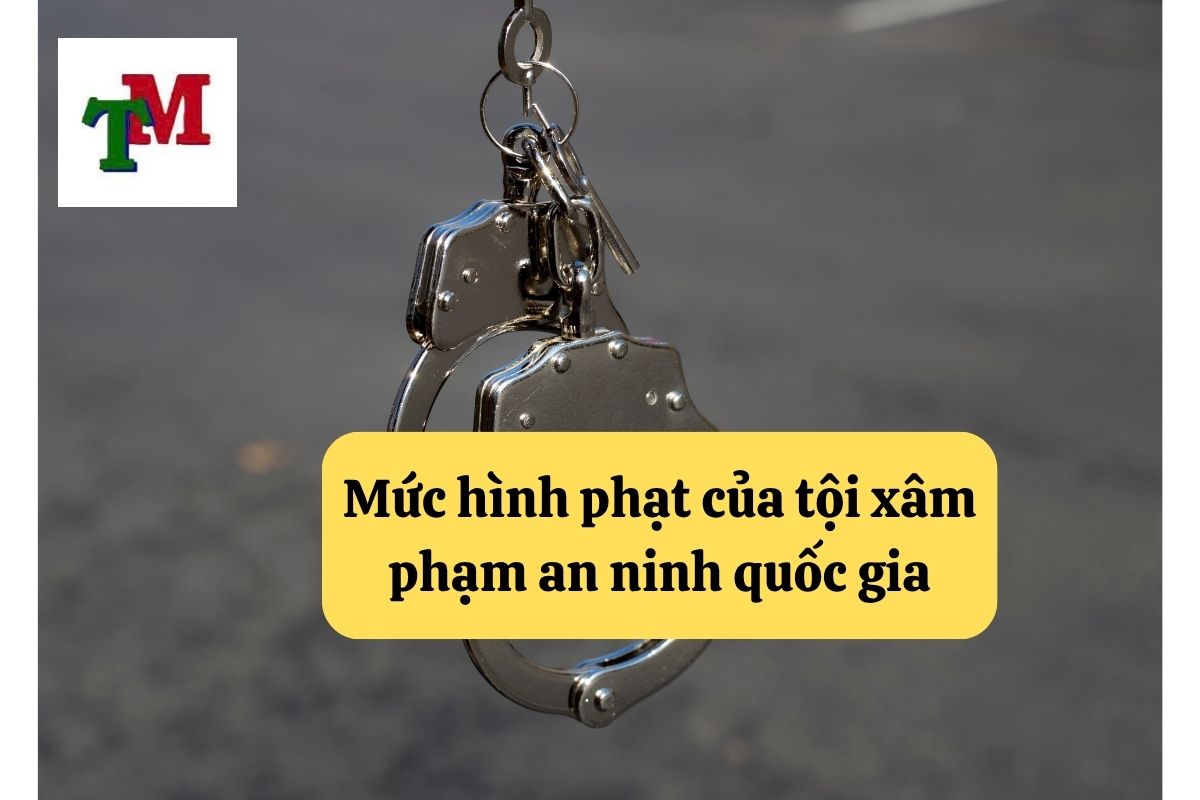 17. Toi xam pham an ninh quoc gia 3