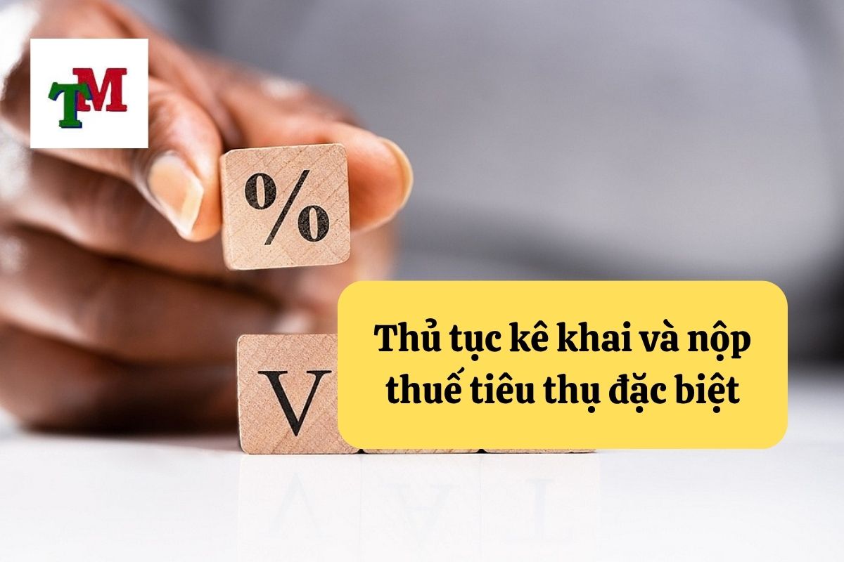 Hướng Dẫn Cách Tính Thuế Tiêu Thụ Đặc Biệt Tại Việt Nam 2 17. cach tinh thue tieu thu dac biet 2