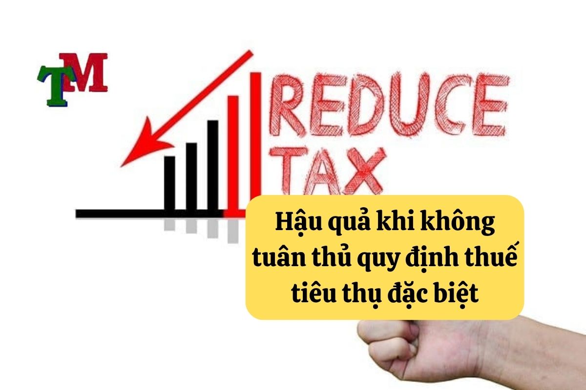 Hướng Dẫn Cách Tính Thuế Tiêu Thụ Đặc Biệt Tại Việt Nam 3 17. cach tinh thue tieu thu dac biet 3