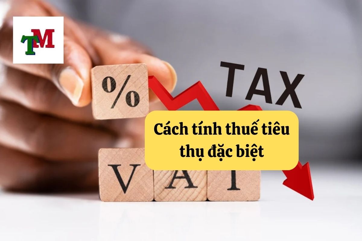 Hướng Dẫn Cách Tính Thuế Tiêu Thụ Đặc Biệt Tại Việt Nam 1 17. cach tinh thue tieu thu dac biet