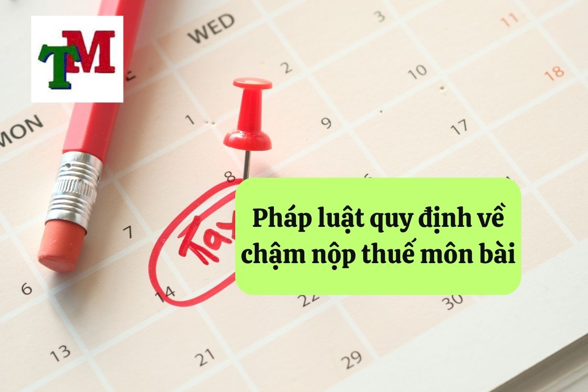 17. cham nop thue mon bai 2