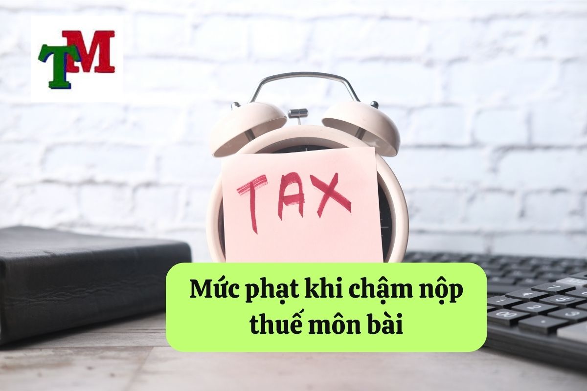 17. cham nop thue mon bai 3