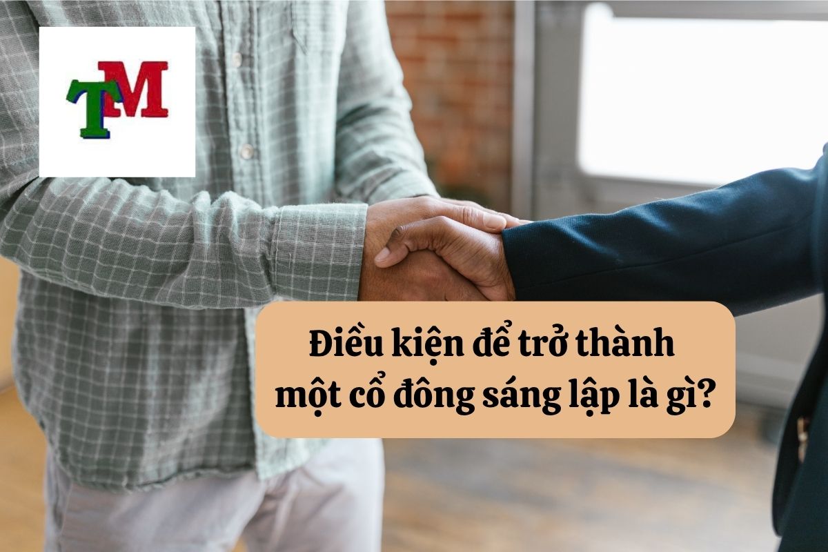 Cổ đông sáng lập: Quyền lợi, nghĩa vụ và hạn chế theo luật doanh nghiệp 3 17. co dong sang lap