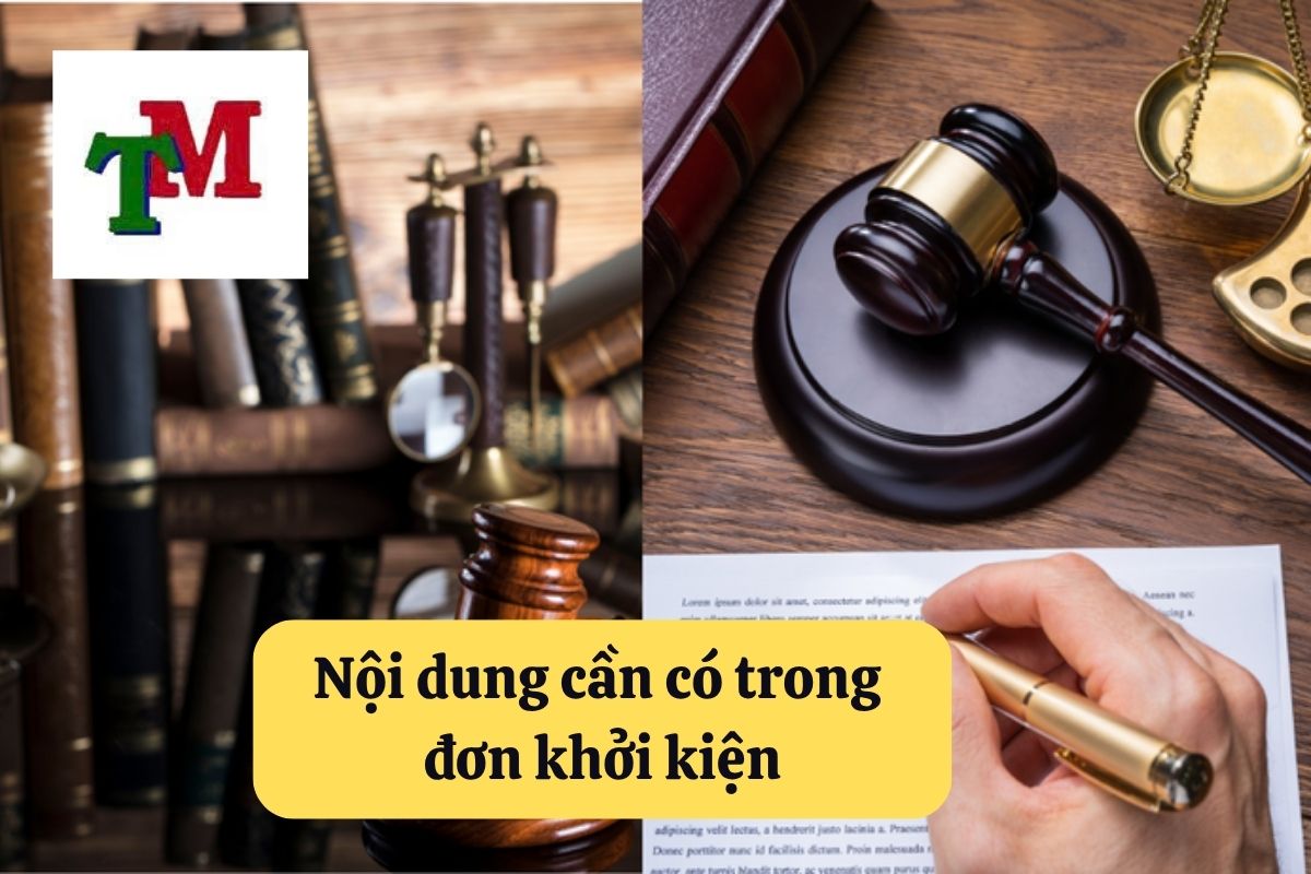 17. don khoi kien 3