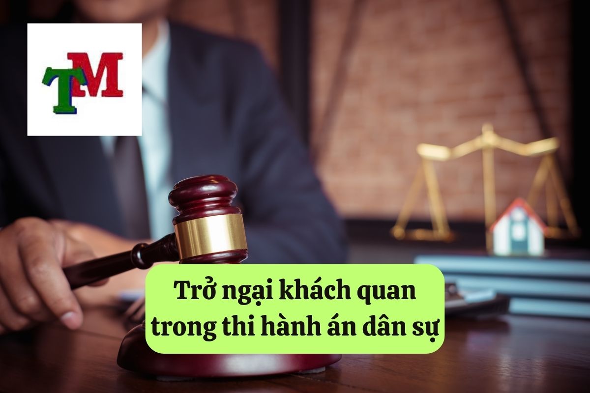 17. tro ngai khach quan 3