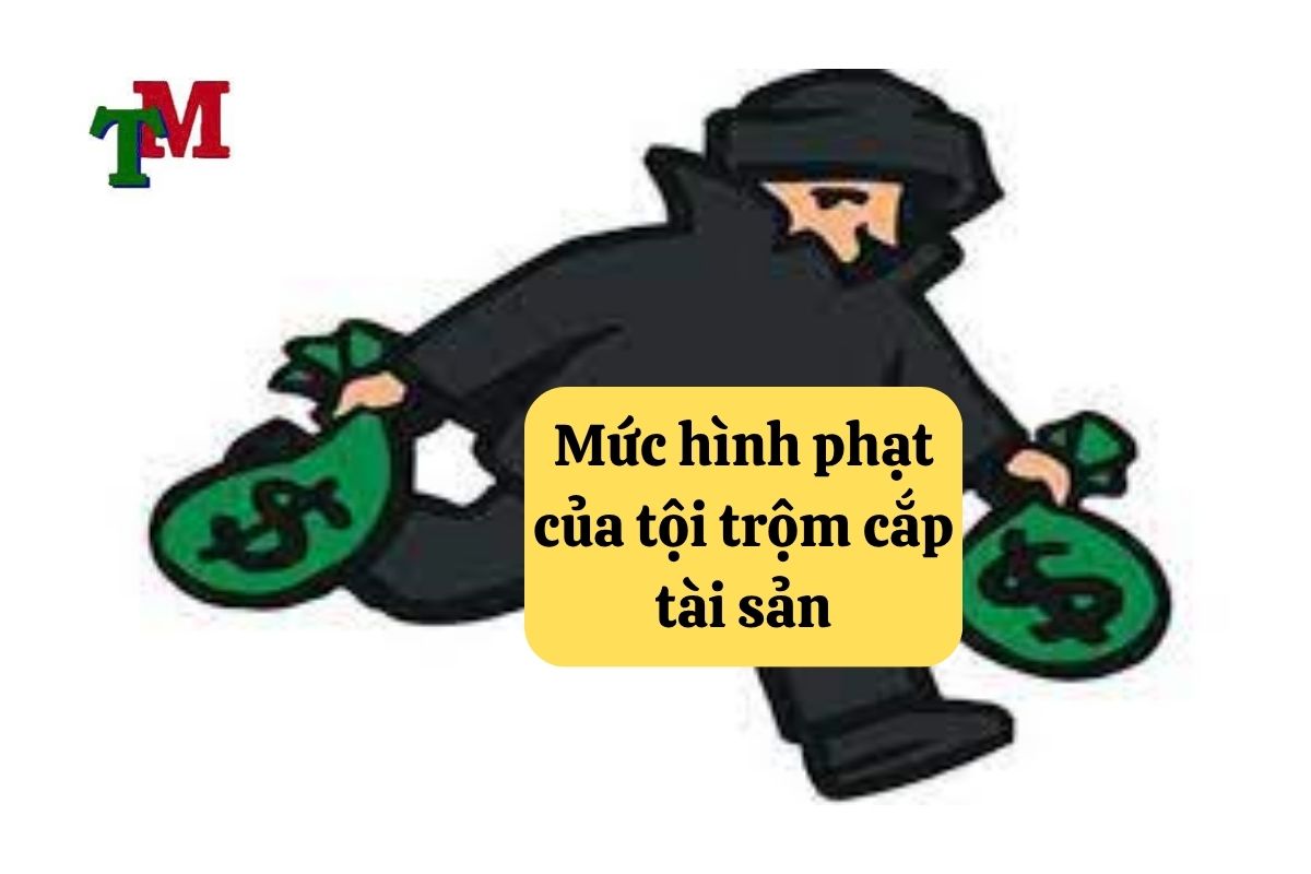 18. Toi trom cap tai san 3