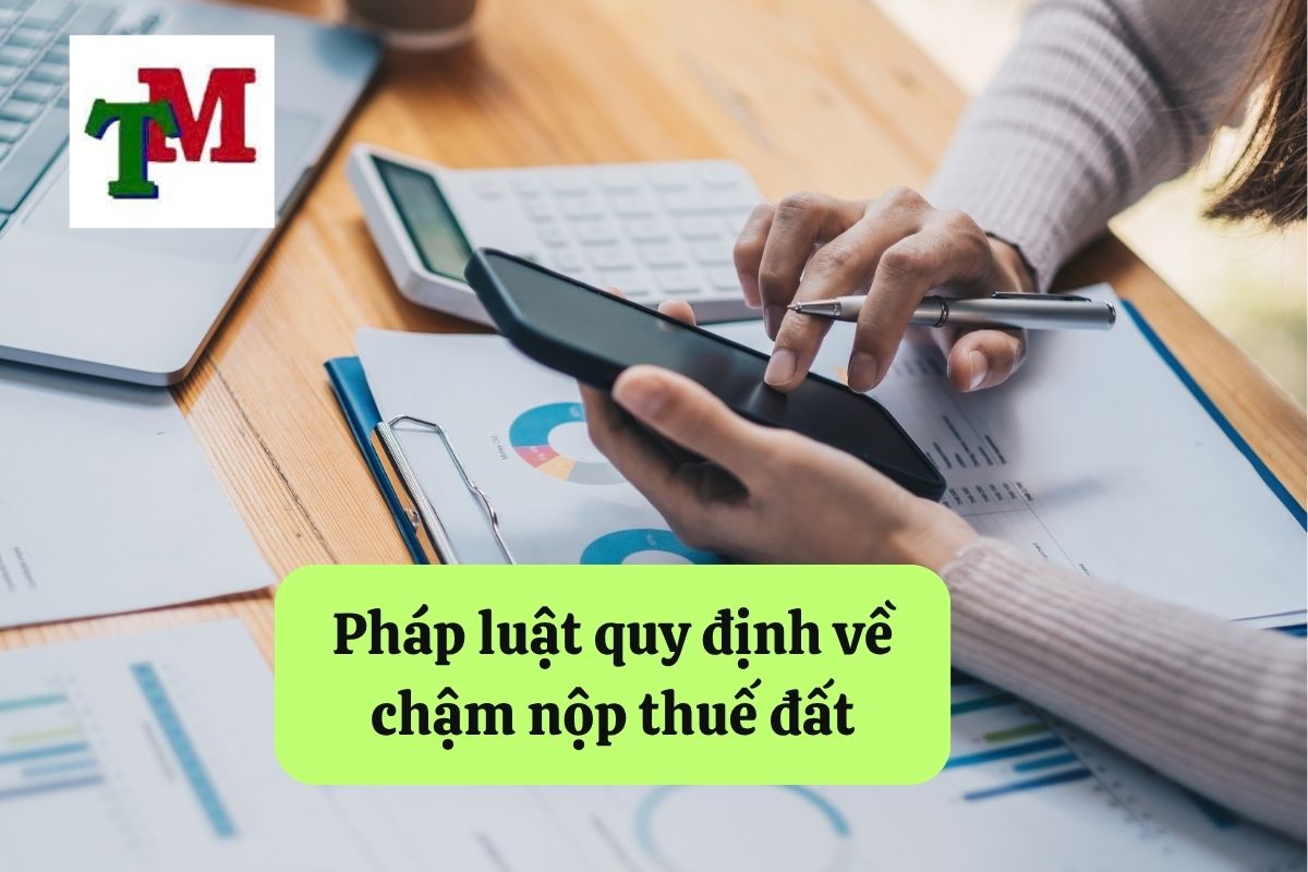 Pháp luật quy định về chậm nộp thuế đất