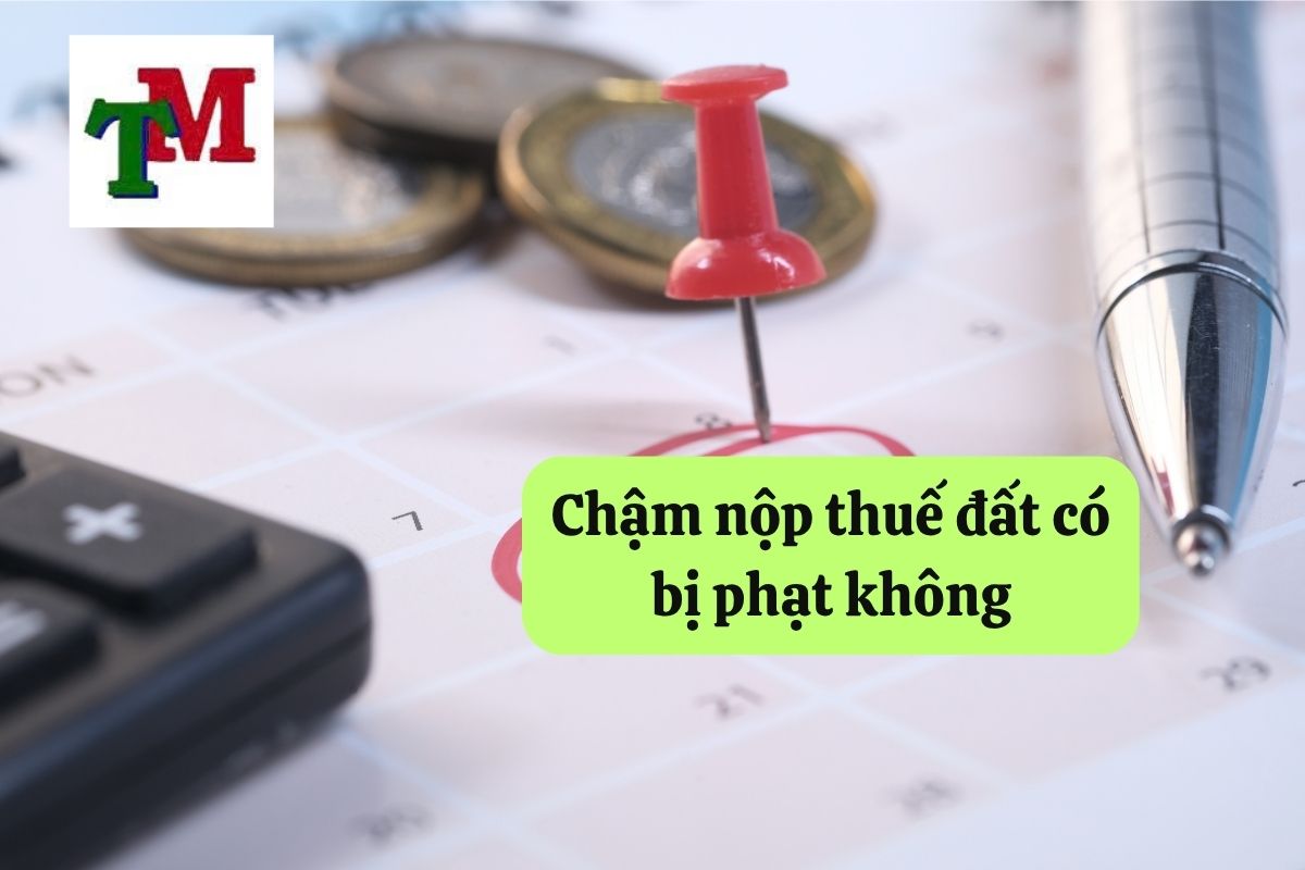 Chậm nộp thuế sử dụng đất: 3 Quy định và 4 hướng dẫn khắc phục tránh phạt nặng