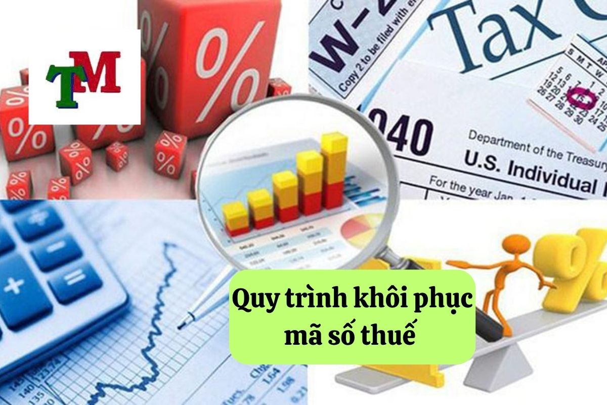 18. khoi phuc ma so thue 2