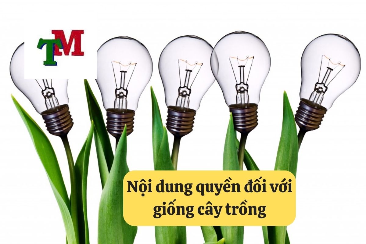 Quyền đối với giống cây trồng: Hướng dẫn chi tiết tại Luật Thiên Mã 2 18. quyen doi voi giong cay trong 2