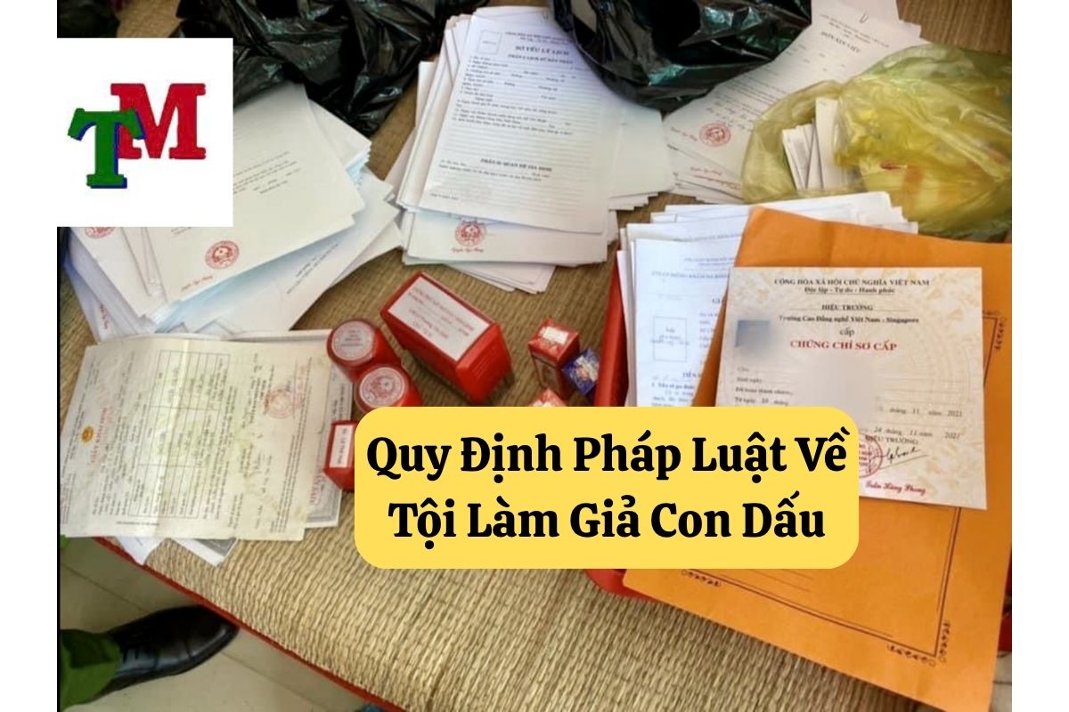 18. toi lam gia con dau co quan nha nuoc 2