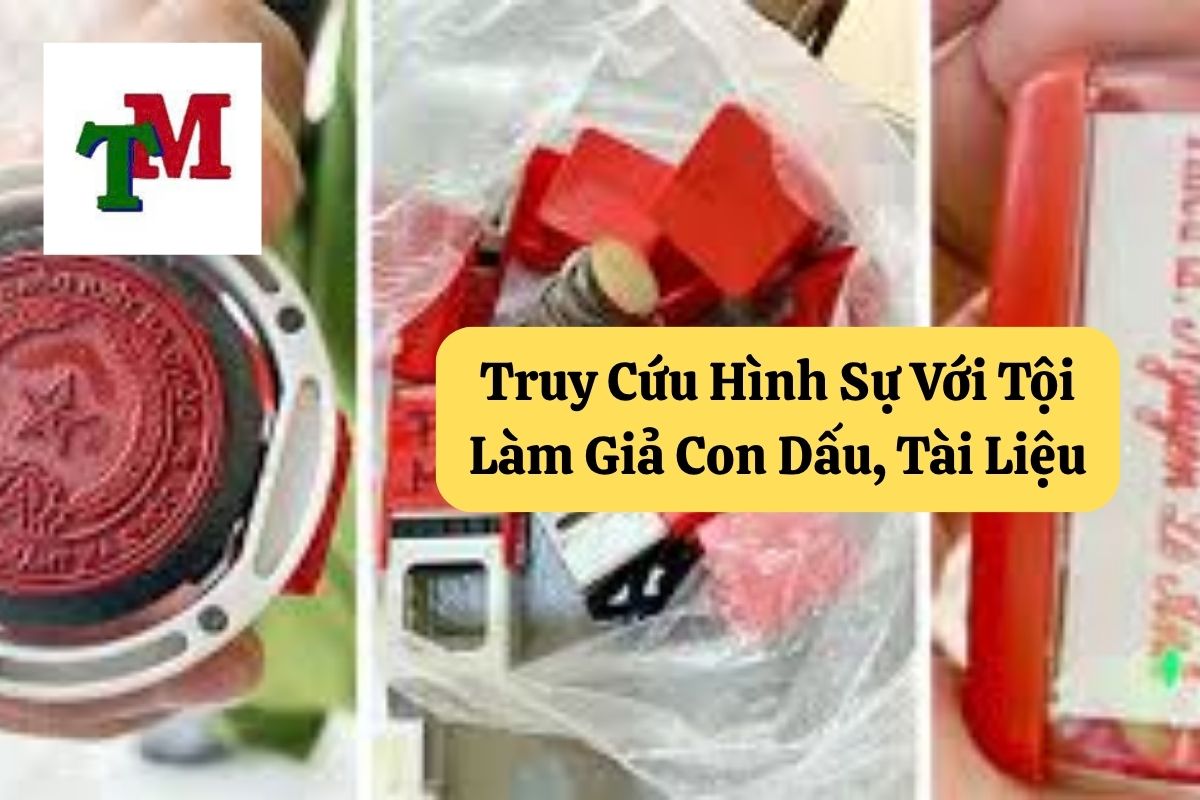 18. toi lam gia con dau co quan nha nuoc 3