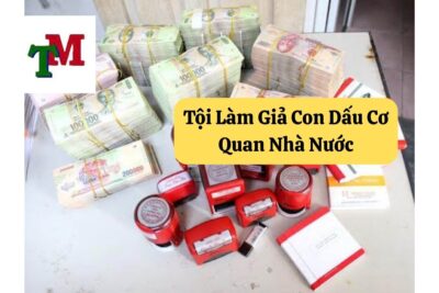 18. toi lam gia con dau co quan nha nuoc