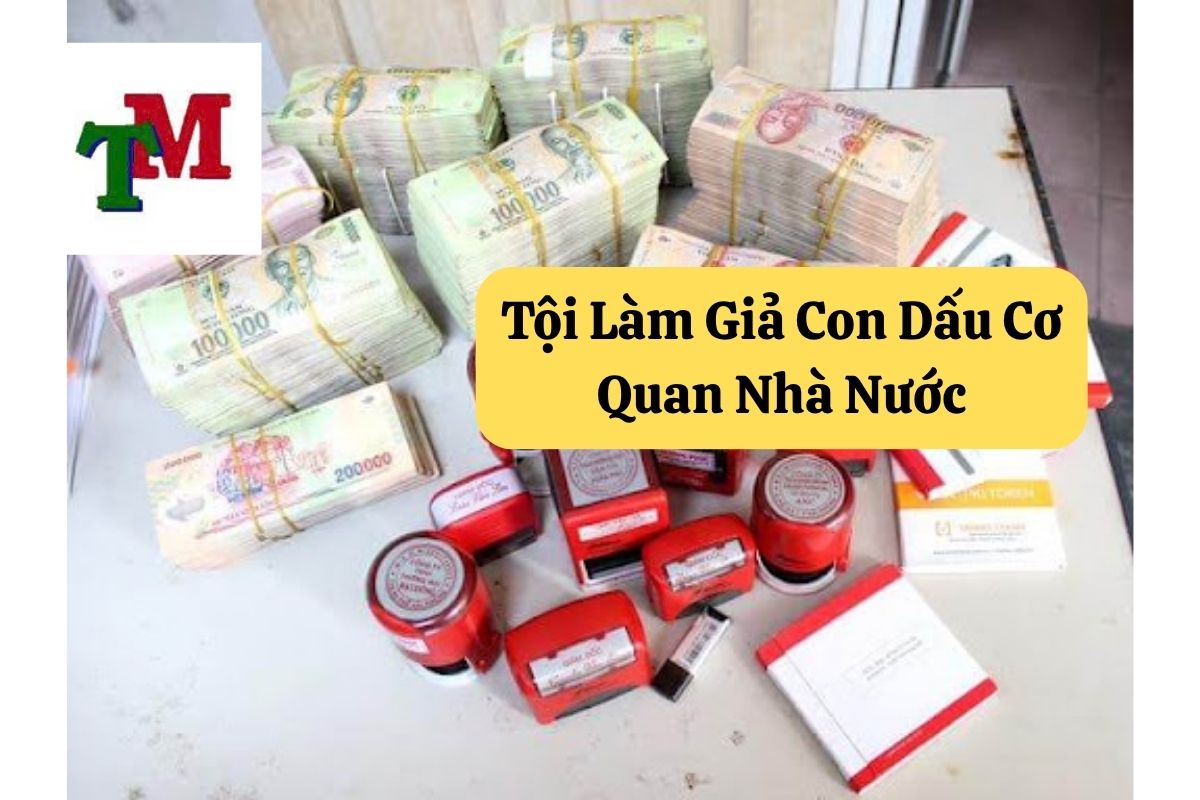 18. toi lam gia con dau co quan nha nuoc