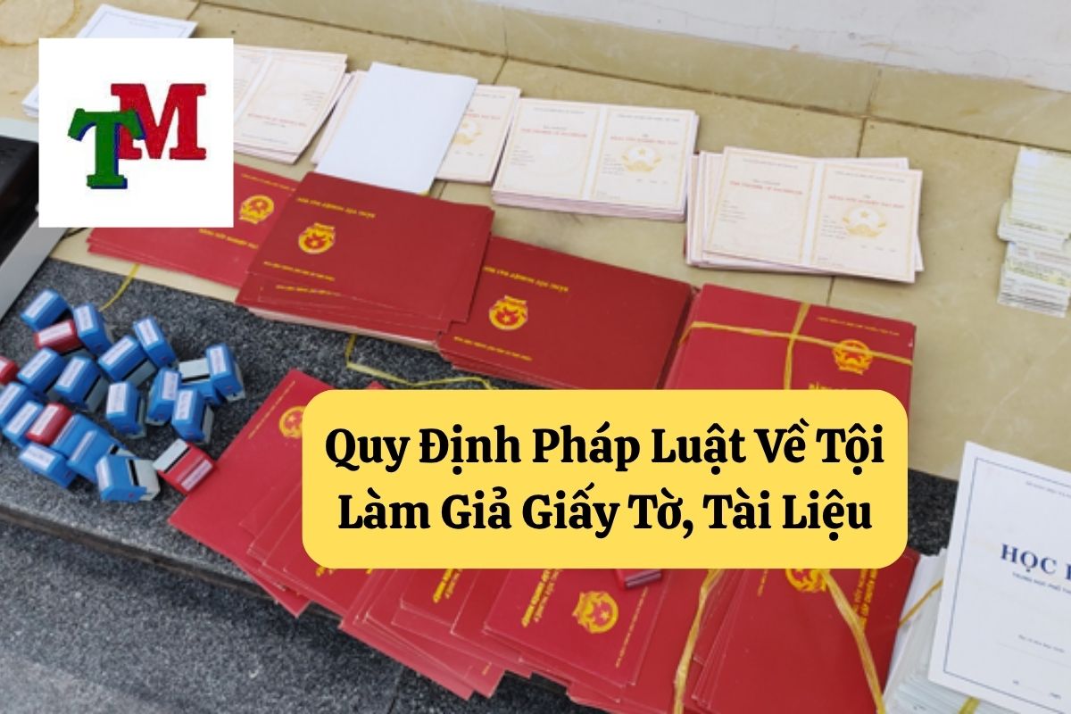 19. Toi lam gia giay to tai lieu 2