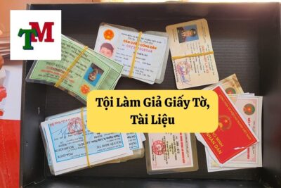 19. Toi lam gia giay to tai lieu