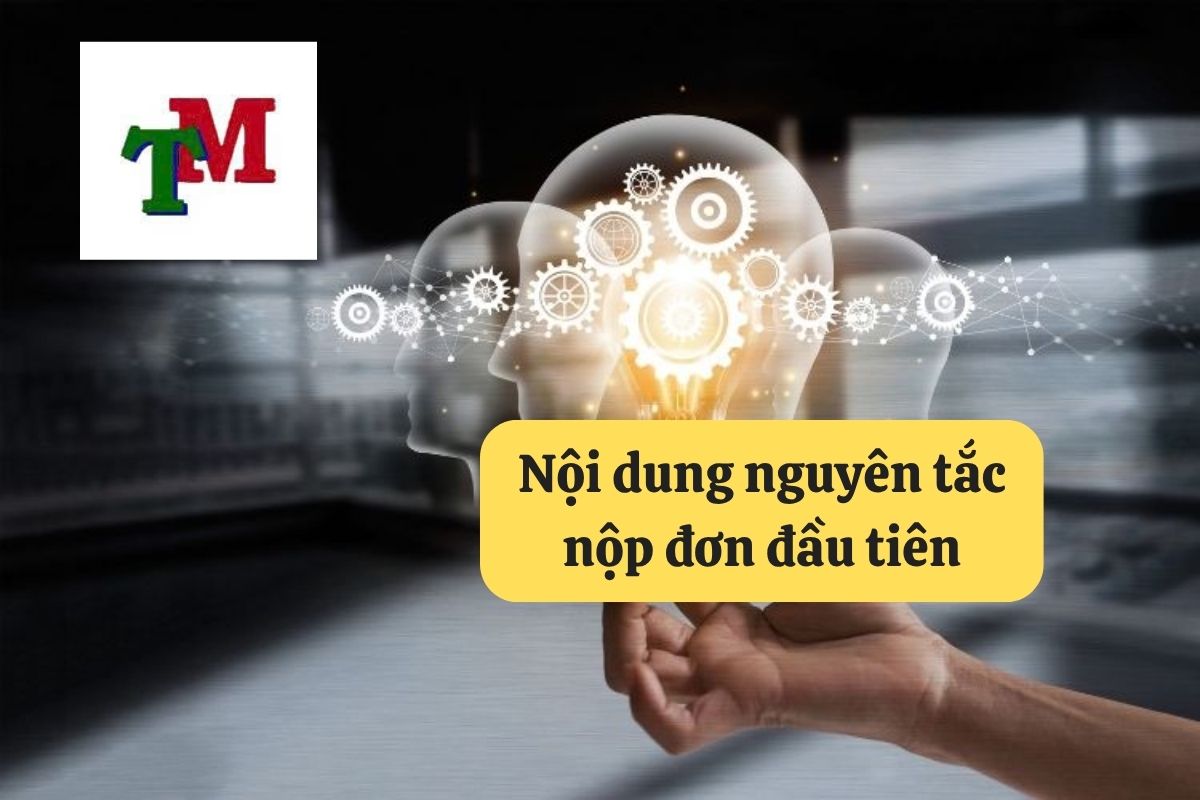 Nguyên tắc nộp đơn đầu tiên: Hướng dẫn chi tiết tại Luật Thiên Mã 3 19. nguyen tac nop don dau tien 3