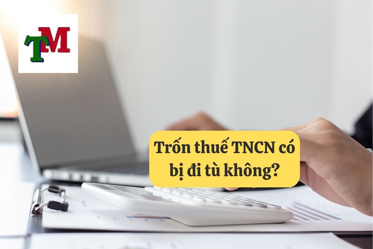 Phạt trốn thuế thu nhập cá nhân: Quy định pháp luật và hậu quả 3 19. phat tron thue thu nhap ca nhan 3