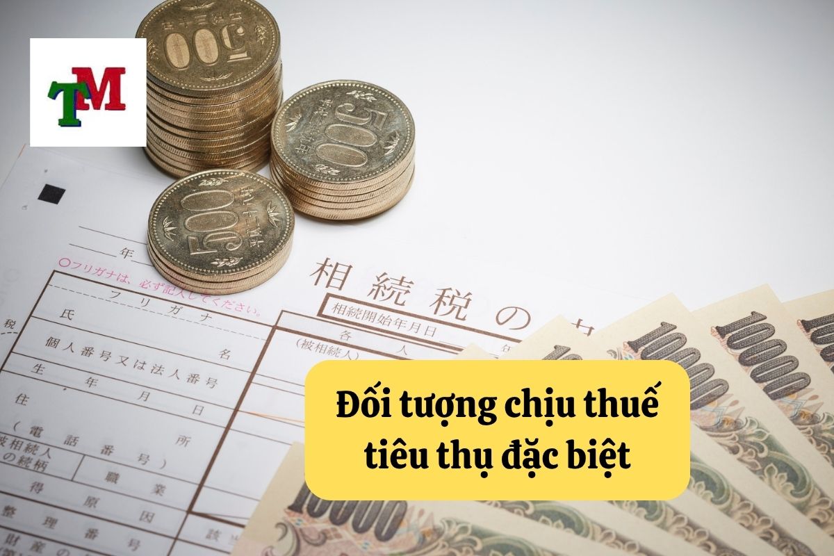 Hướng Dẫn Về Thuế Tiêu Thụ Đặc Biệt Tại Việt Nam 2 19. thue tieu thu dac biet 2