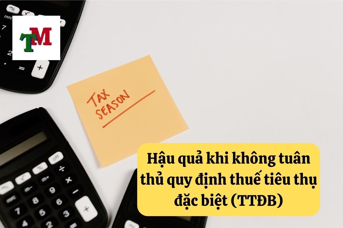 Hướng Dẫn Về Thuế Tiêu Thụ Đặc Biệt Tại Việt Nam 3 19. thue tieu thu dac biet 3