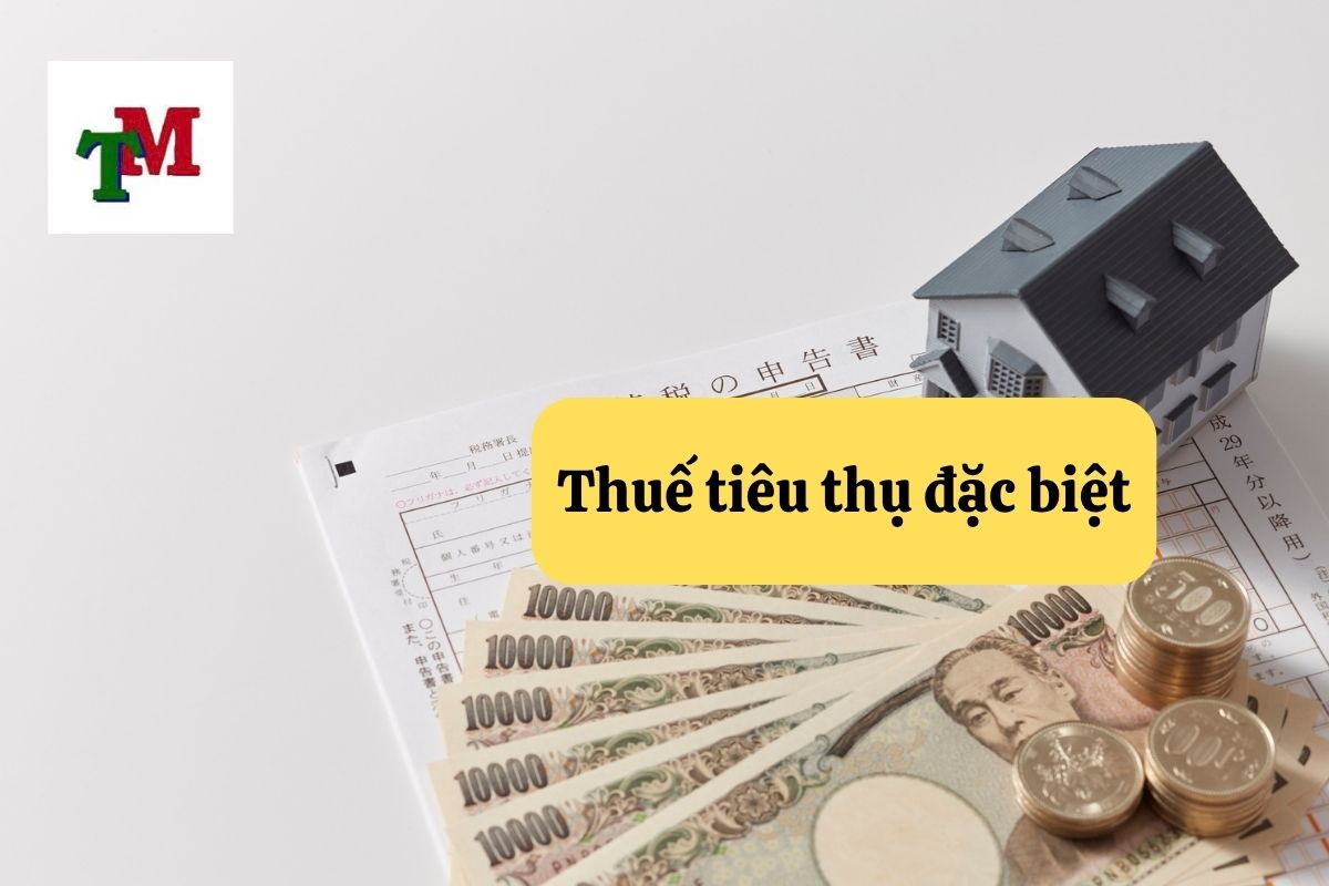 Hướng Dẫn Về Thuế Tiêu Thụ Đặc Biệt Tại Việt Nam 1 19. thue tieu thu dac biet