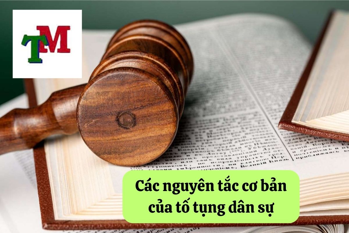 Hiểu biết về tố tụng dân sự và các quy định pháp lý 2 19. to tung dan su 2