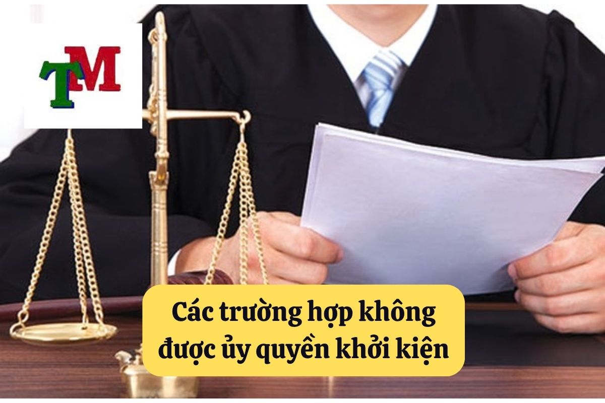 Ủy quyền khởi kiện: Quy định pháp luật và thủ tục chi tiết 3 19. uy quyen khoi kien 3