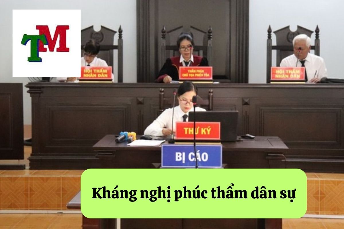 Hiểu biết quy trình phúc thẩm dân sự và quyền lợi của bạn tại tòa án 2 2. Phuc tham 2